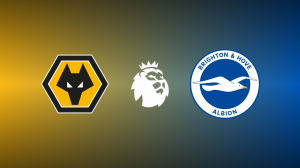 Wolverhampton Wanderers vs. Brighton and Hove Albion