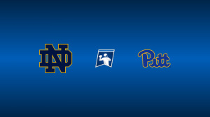 Notre Dame Fighting Irish vs. Pittsburgh Panthers