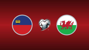 Liechtenstein vs. Wales